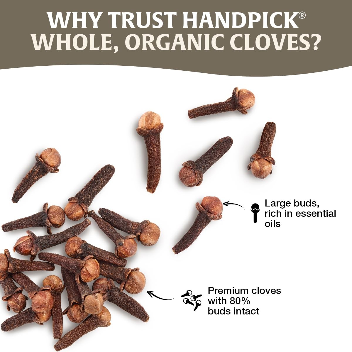 Organic Cloves Whole Premium 2.3oz 65g Resealable Zip Lock Pouch