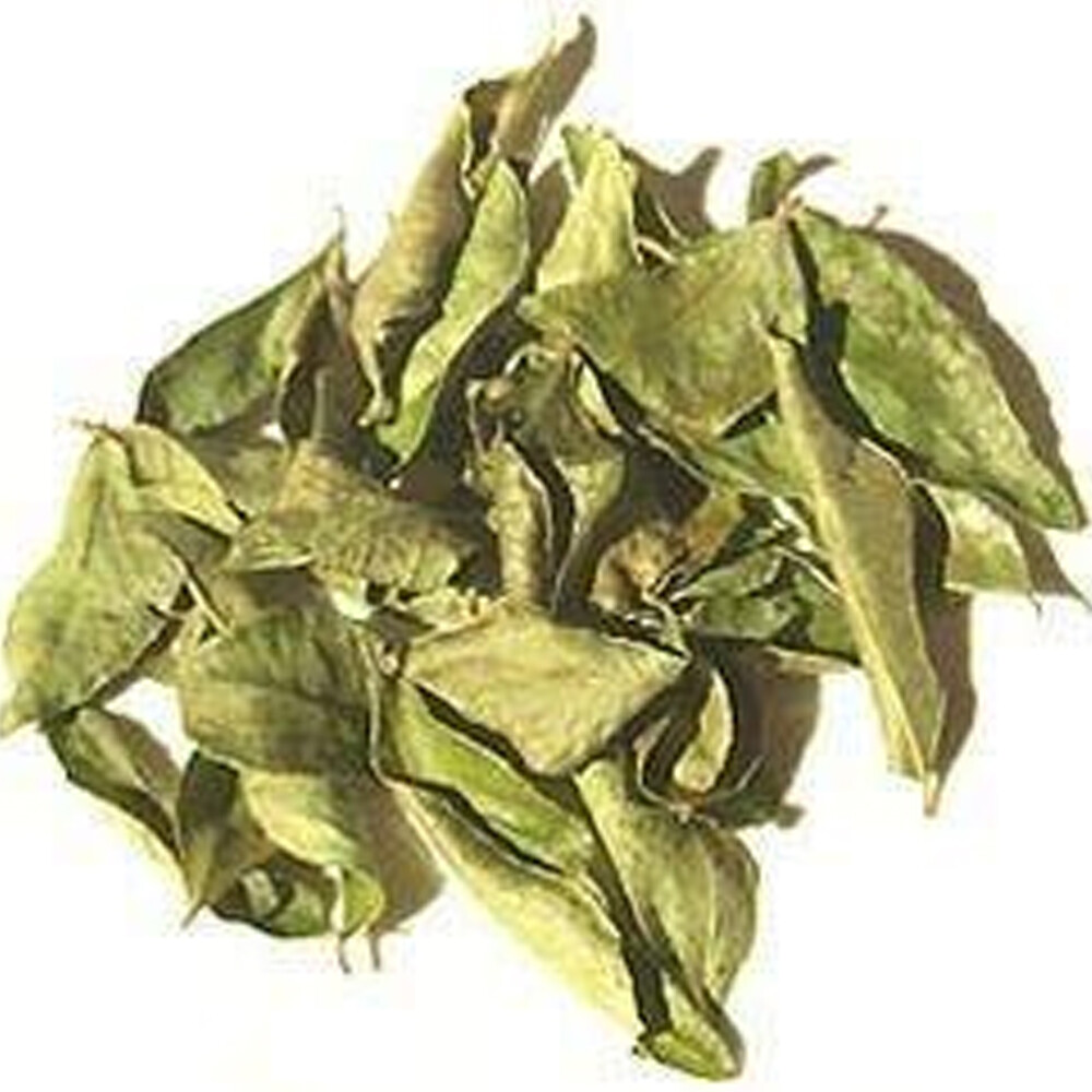 Indian Spice Masale Curry Leaves Dried Kadi Patta Pure Organic 10-1000 gm F/Ship