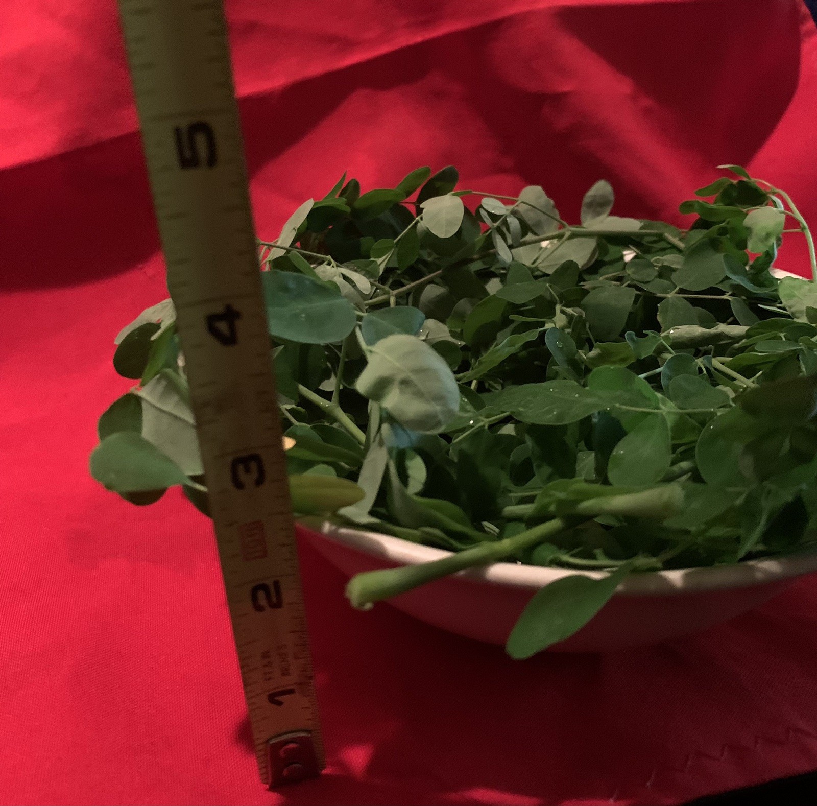 💥Moringa Leaves- 100% Organic Moringa, Oleifera kelor Miracle Herbal Leaves Tea