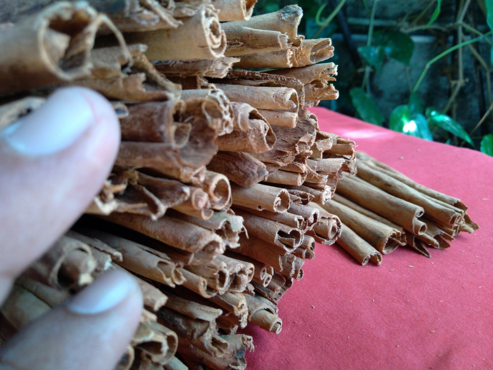NATURAL PURE CEYLON HIGH QUALITY 100% CINNAMON STICKS & ORGANIC 100 g