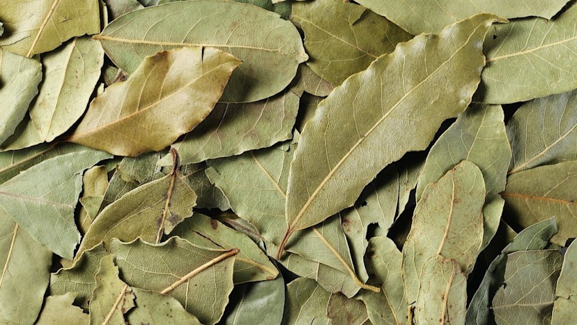 100% Premium Dried Bay Leaves (Laurus nobilis) – Aromatic Herb for Digestion