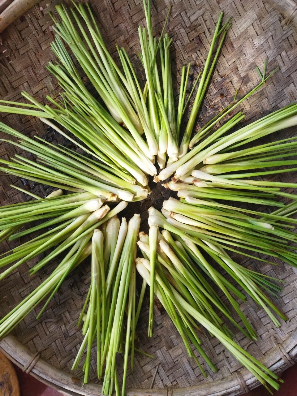 2 oz Lemongrass Dried Ceylon Cut Leaves Herbal Organic Pure Natural Quality