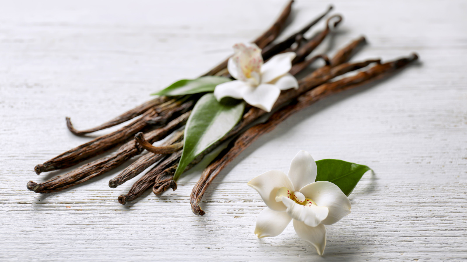 Indonesia Direct Source 30oz Vanilla Beans Grade A For Baking Free shipping