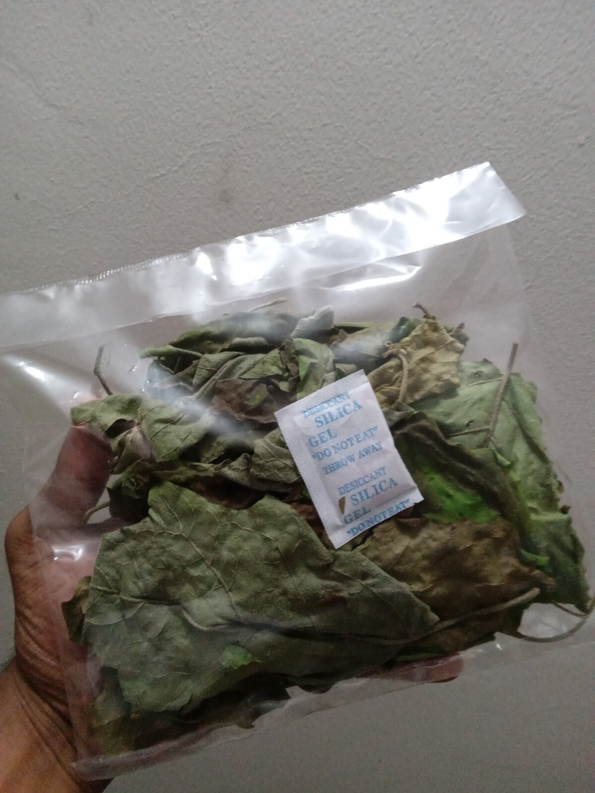 35+ Dried Turkey Berry Leaves (Solanum Torvum) – 100% Natural Organic Pure Leaf
