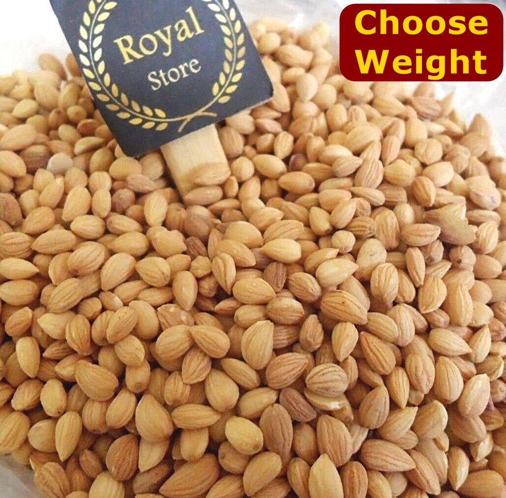 Mahaleb Prunus cherry Mahleb seed Mahlepi whole Mahlep Mahlab Mehlib محلب