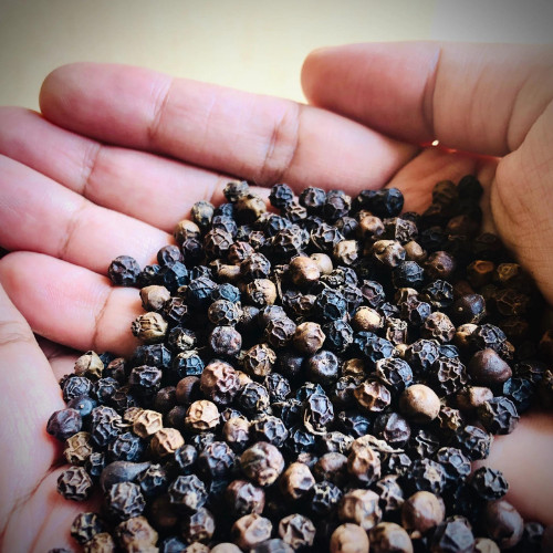 100% Best Quality Pure Black Pepper Organic Natural Black Pepper From Ceylon
