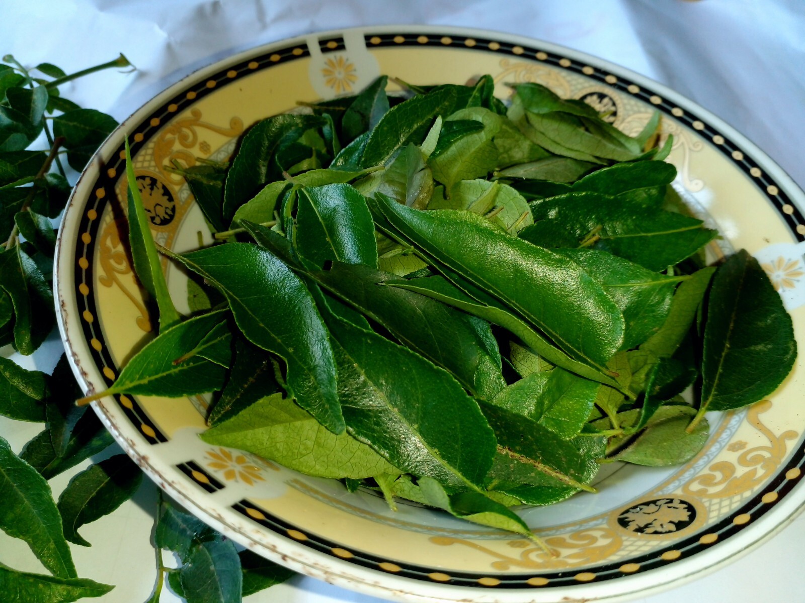 50g Natural Fresh Organic Curry Leaves Premium Quality Christmas Dinner