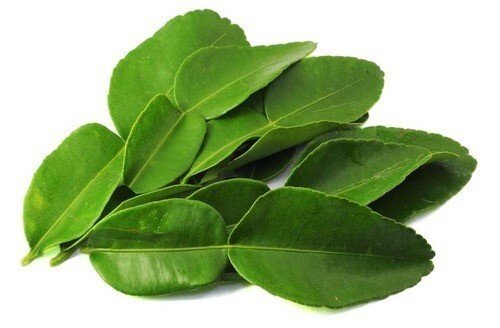 Dried Lime Leaves Organic Quality Herb Spices Kaffir Natural From Ceylon