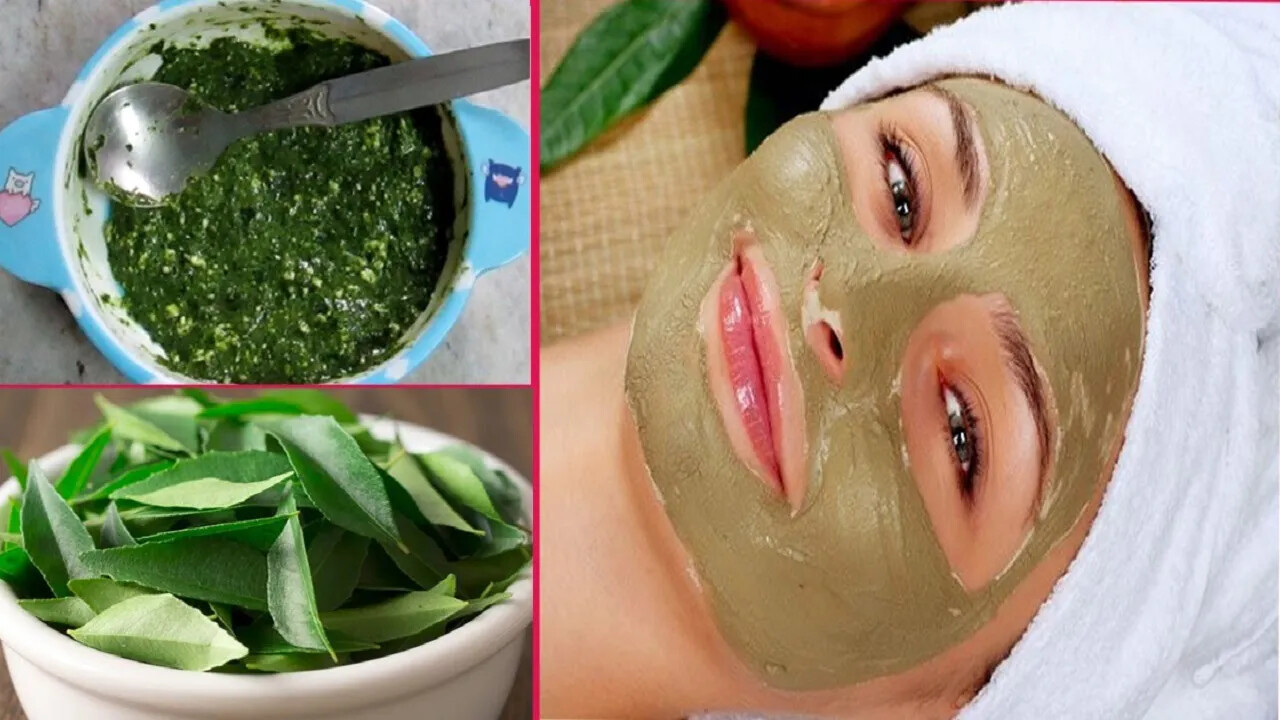 Organic Fresh 100% Natural Dried Curry Leaves .