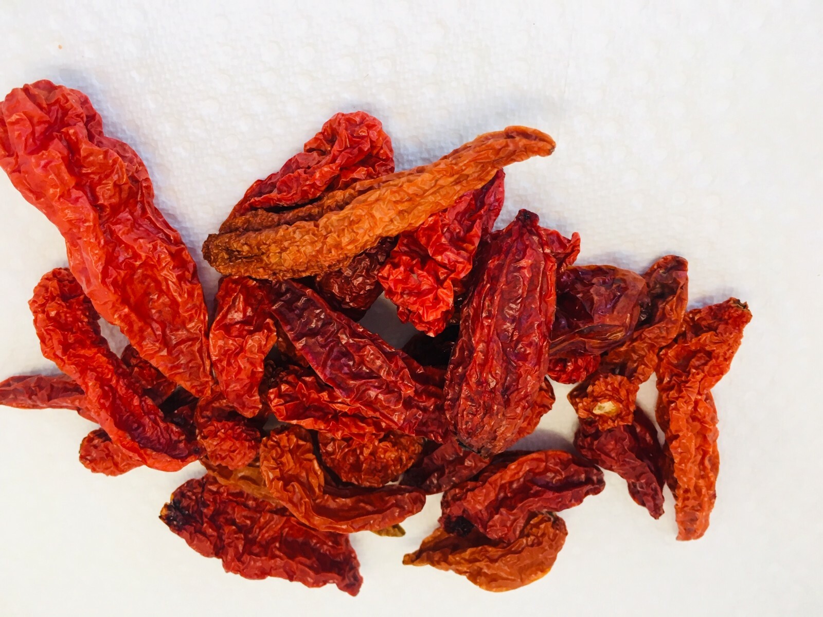 WHOLE DRIED SCOTCH BONNET AND/OR GHOST(BHUT JOLOKIA) PEPPERS ORGANICALLY GROWN