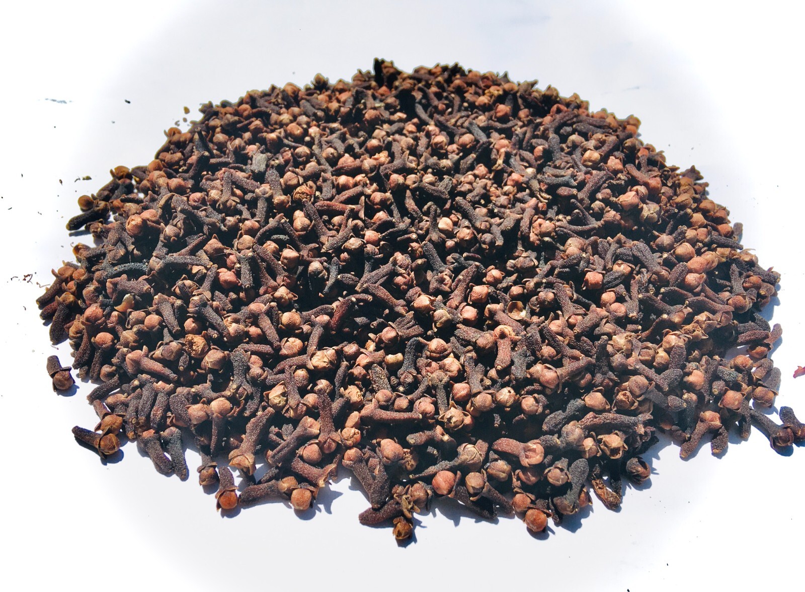 WHOLE CLOVES PREMIUM QUALITY CEYLON WHOLE COLVEES/SPICES/HERBS FORM SRI LANKA