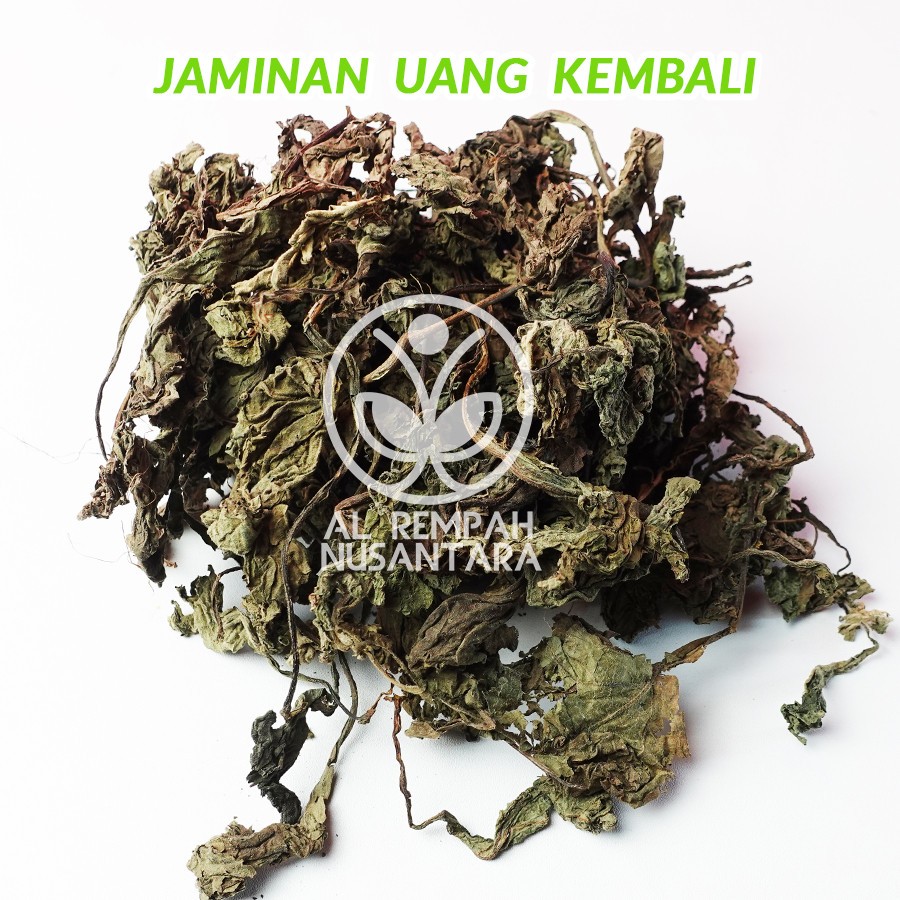 Insulin Yukon Dried Leaves 1000g Botanical Ingredient Craft Blending Aromatic