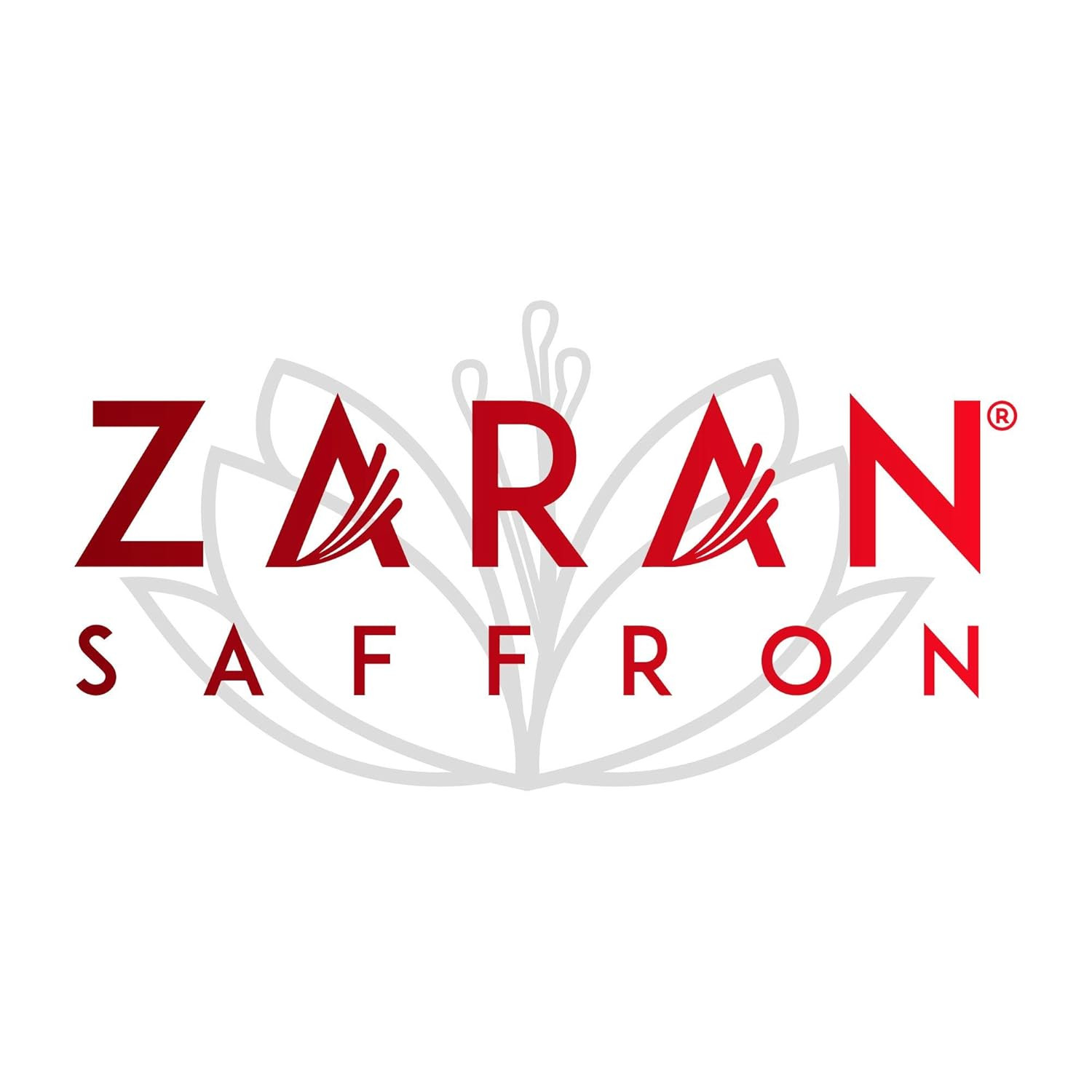 , Superior Saffron Threads (Super Negin) Premium Grade Saffron Spice for Paella,