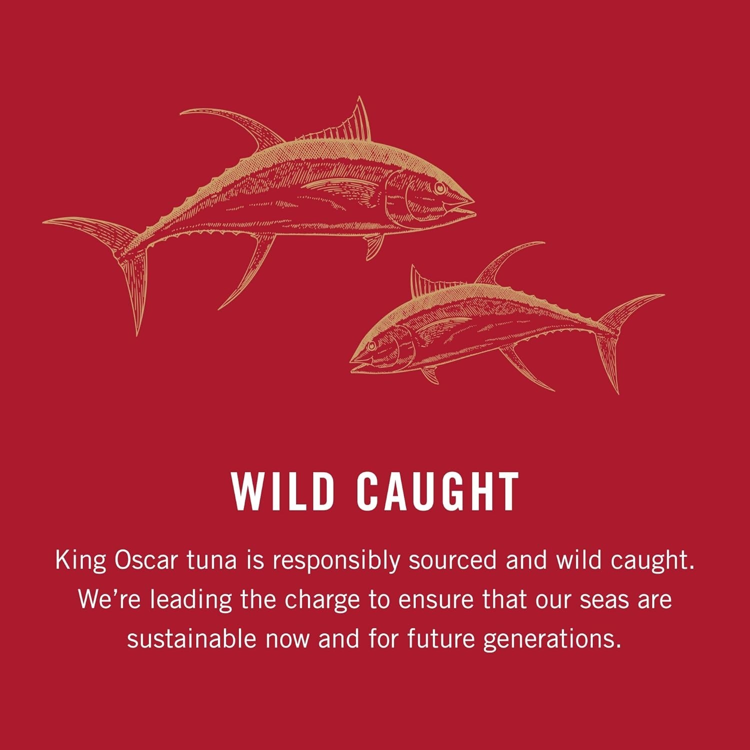 Yellowfin Tuna in Extra Virgin Olive Oil, 5 Ounce Cans (Pack of 6), Wild Caught