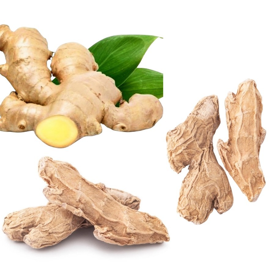 Premium Quality Ceylon Dried Ginger Natural Spice Herbal Tea Roots 100% Organic