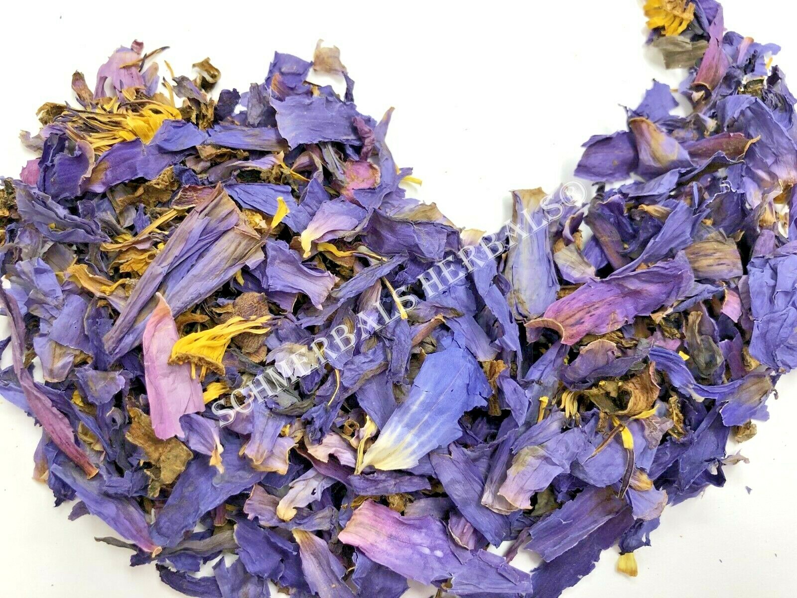 Blue Lotus, N. caerulea, All Natural Deep Purple Thai™ ~ Schmerbals Herbals