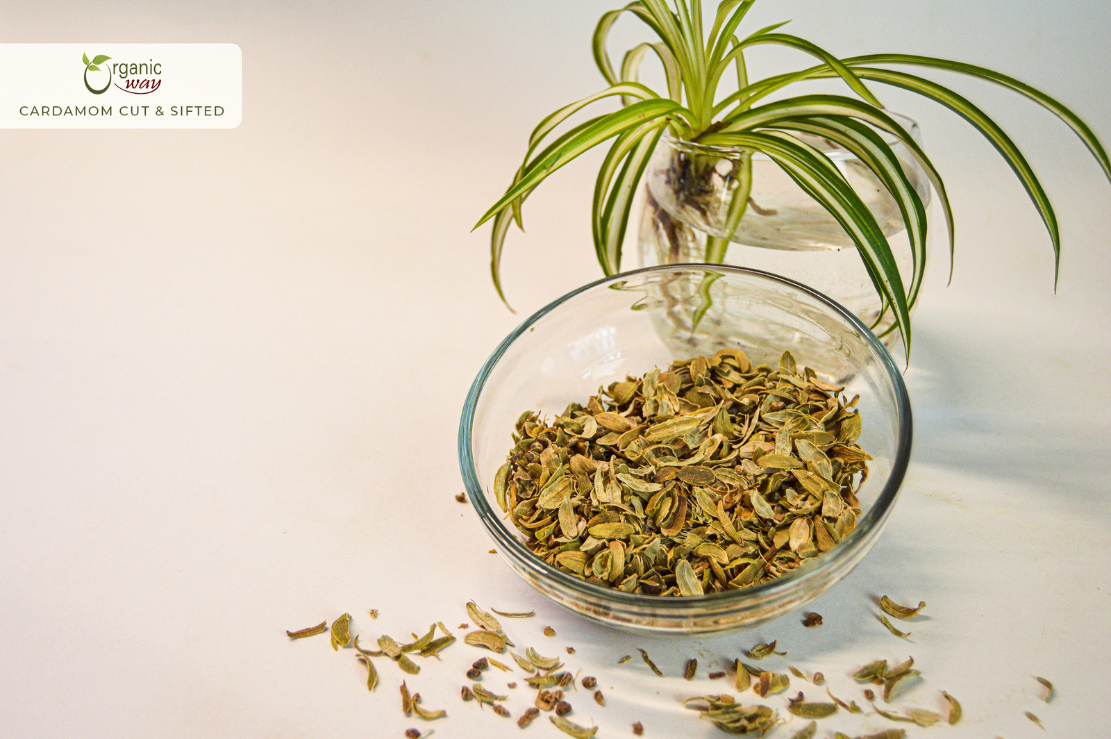 Organic Way Green Cardamom / Hari Elaichi Cut & Sifted – Kosher & USDA Certified