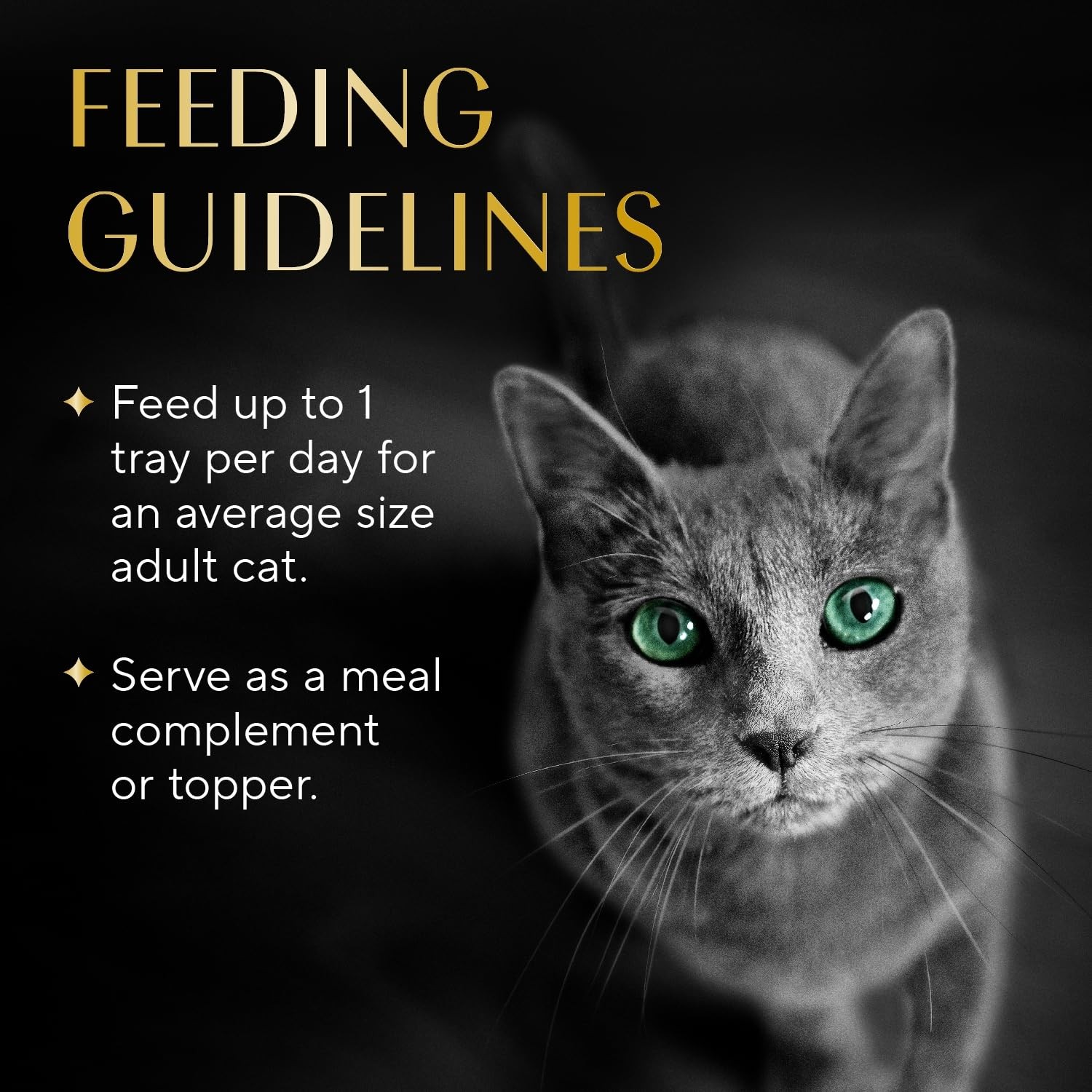 Adult Cat Food Wet Recipe Chicken Recipe 1.3 oz. Cups 12 Count