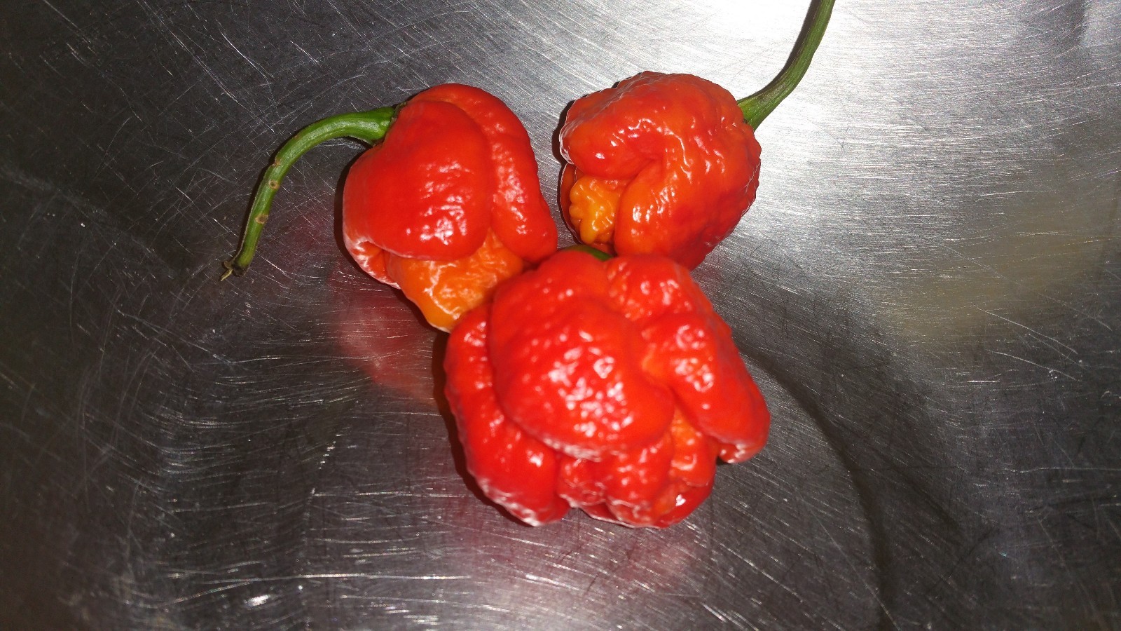 Organic Trinidad Scorpion Pepper-BBQ sauce-10.5oz. NUCLEAR HOT! SUPER Hot BBQ!