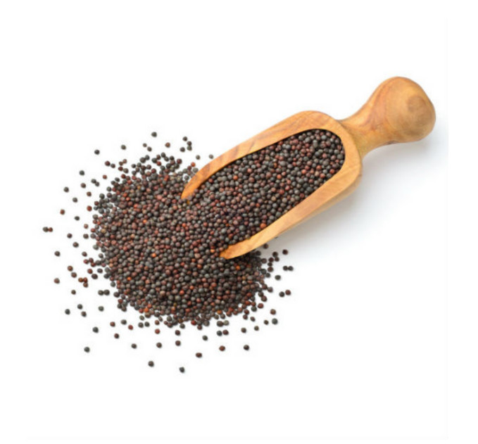 Brown Mustard Seeds (Rai) Indian Sarso Rai Small – 100g to 1000g – Fast Ship