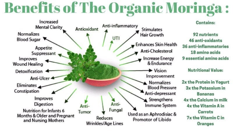 Organic natural home garden Dried Moringa Powder 50g.100% Premium Herbal proudct