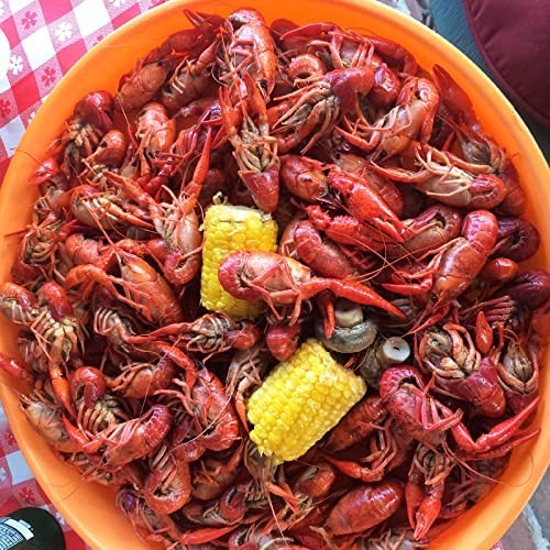Elevate Your Seafood: New Orleans Crawfish, Shrimp & Crab Boil, 3 oz Pack of 6