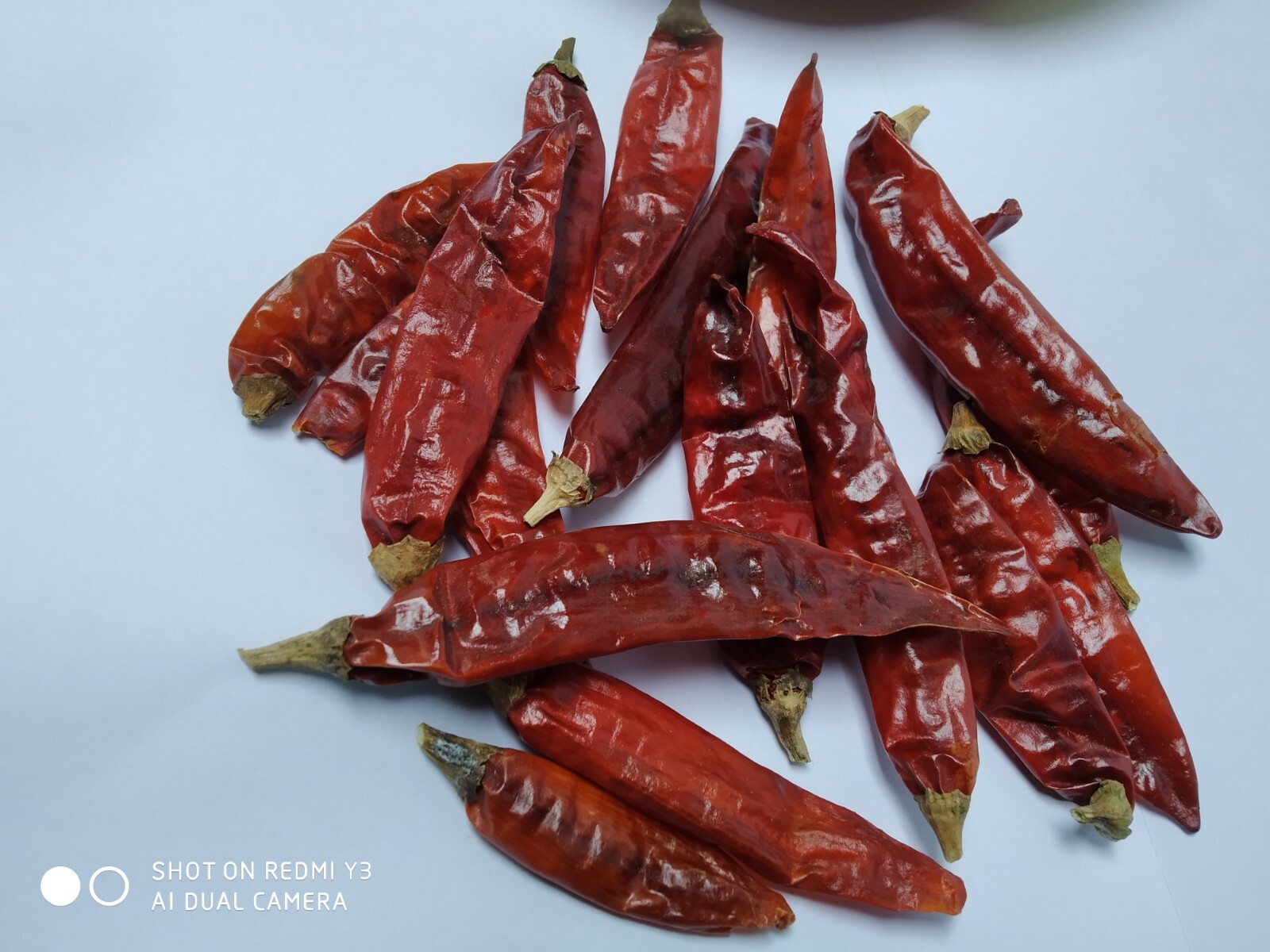 50g Ceylon Sun Dried Red Chili Hot Naturel Quality 100% Free shipping Oz Arbol