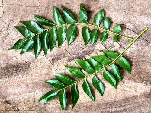 Natural Organic Dried Curry Leaves 100% Ceylon Fresh Spices,100g