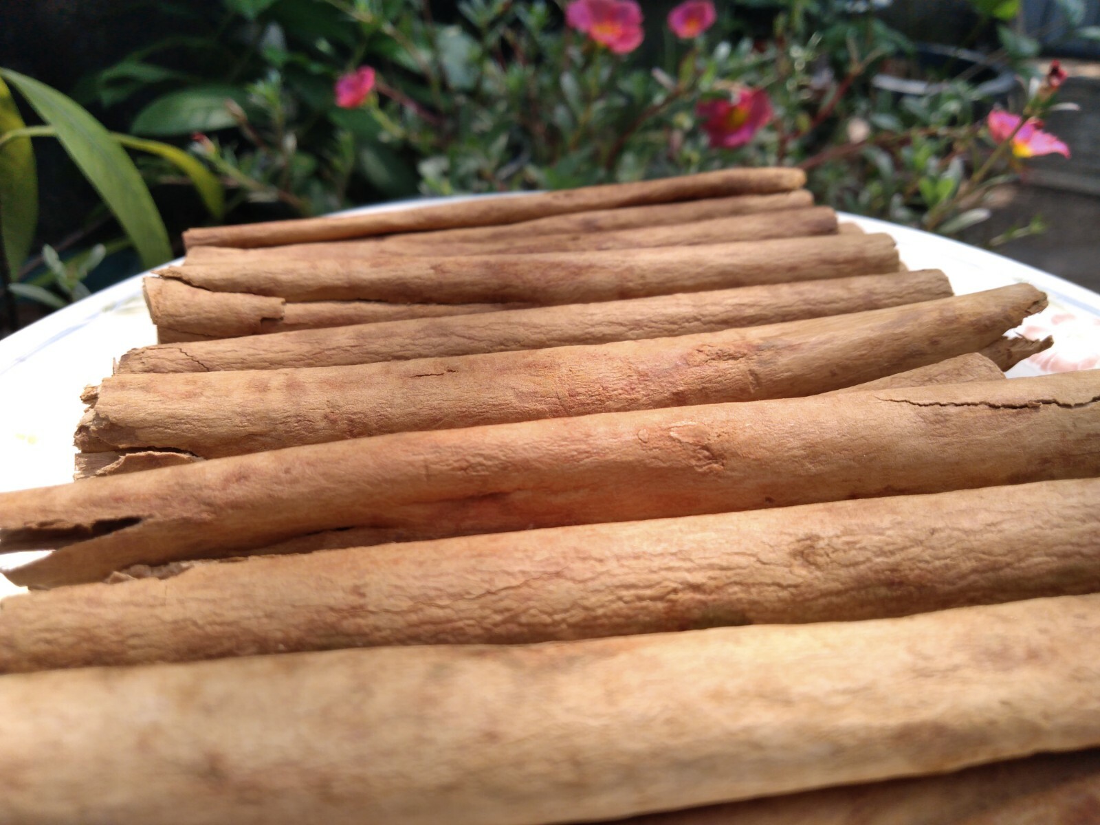 Ceylon Cinnamon sticks – Organic High Quality Pure Natural True Sri Lankan 100 g