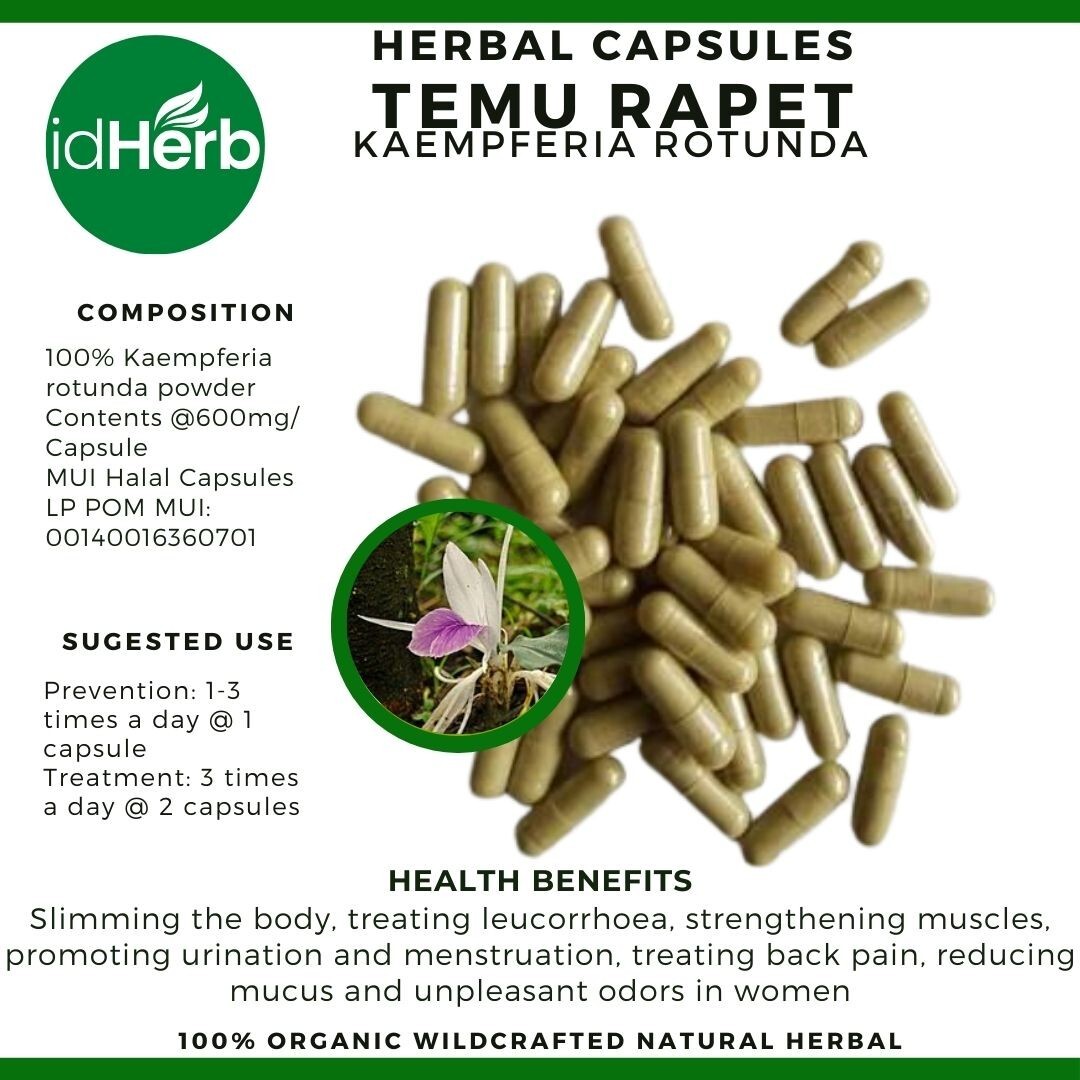 Capsules Kaempferia Rotunda Temu Rapet Natural herbal Organic 100% Herbs