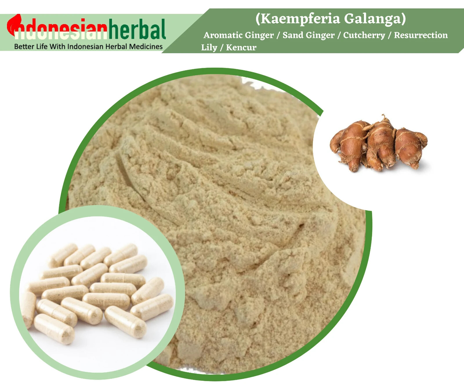 Capsule Of Aromatic Ginger Sand Ginger Cutcherry (Kaempferia Galanga) Herbs