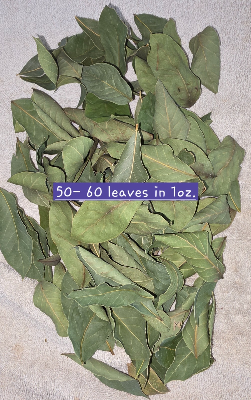 Organic Dried Bay Leaves 2oz – Homegrown Californian Premium Laurel Whole Leaf