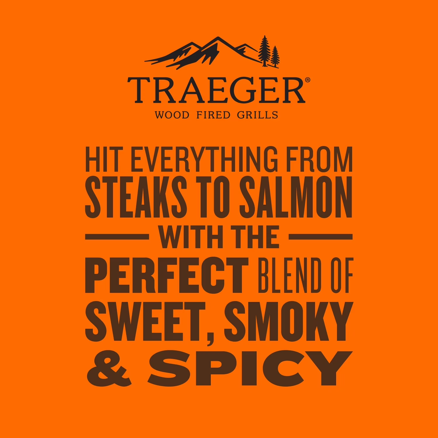 Traeger Pellet Grills Traeger Rub, Mixed Spices & Seasonings, 12.5 oz