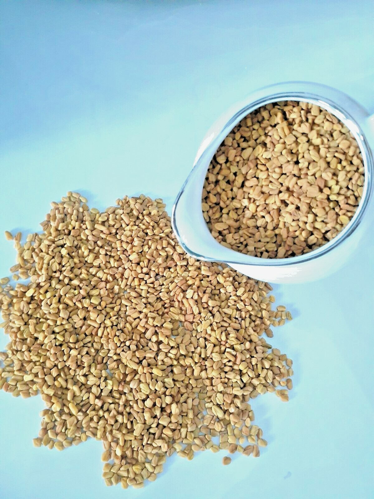 Fenugreek seed 100% pure Organic Natural Whole seeds High Quality Fenugreek