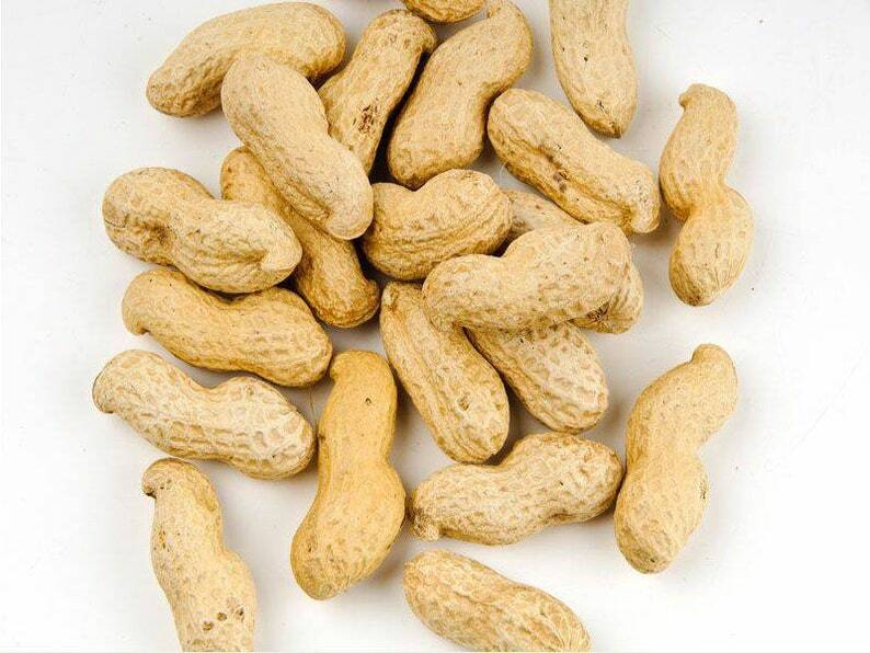 100% Organic Pine Nuts Fresh Quality 200g packet