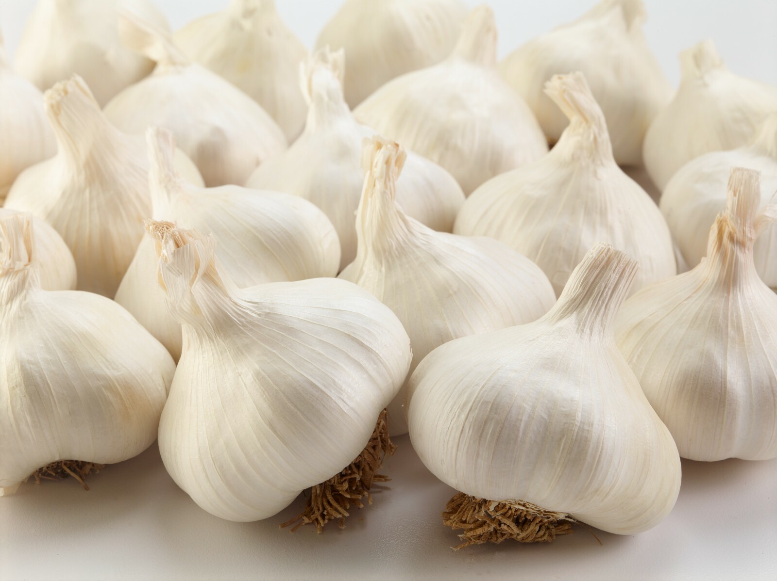 Hey! 12 Jumbo Garlic Bulbs – Fresh and Prime Picked