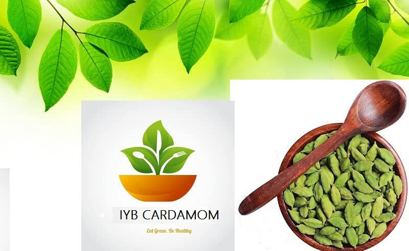 Organic 7-8 MM Green Cardamom Pods-Handpicked from Kerala, India – Fresh & Aroma