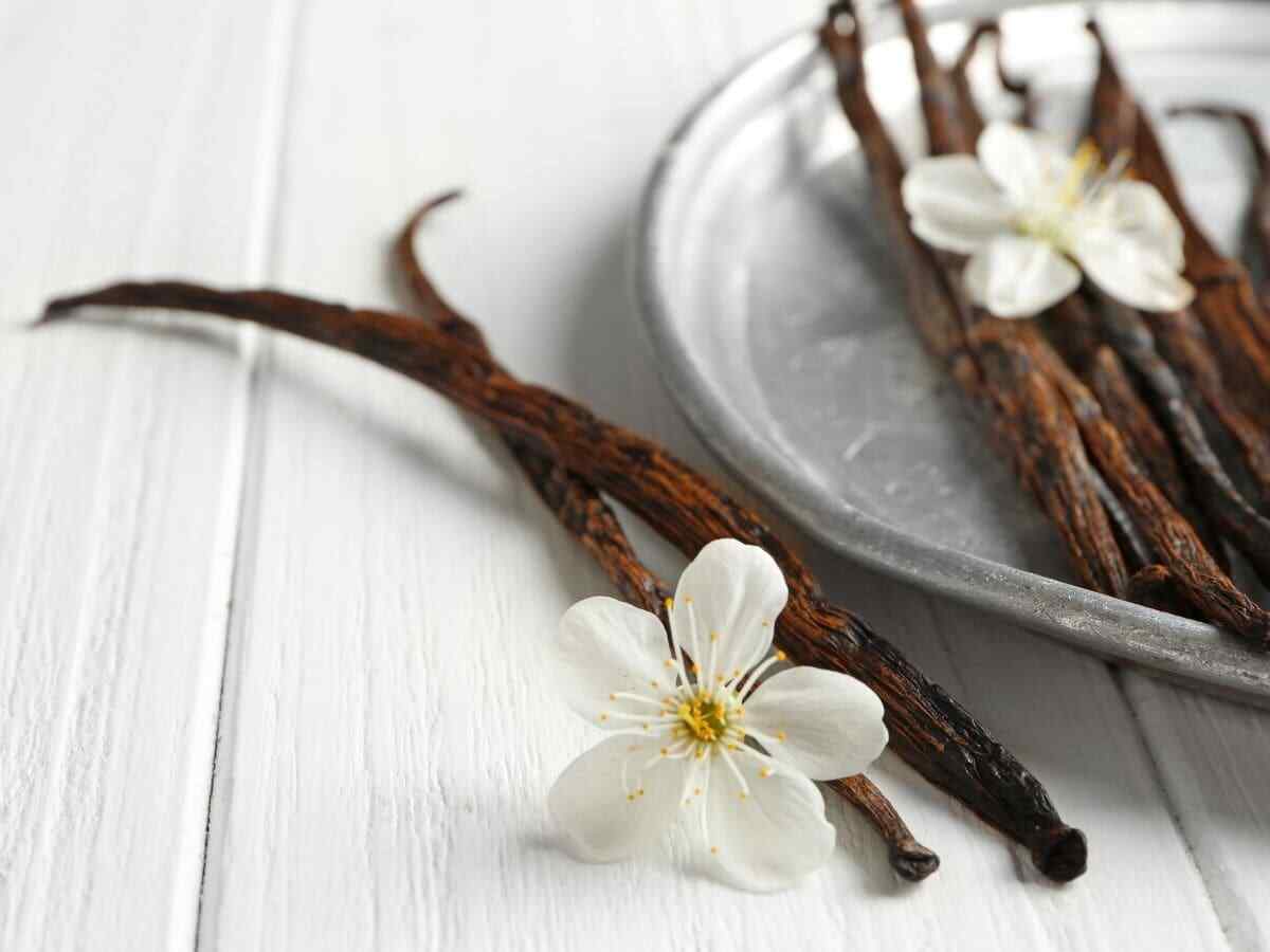 Vanilla Beans Grade Madagascar Bourbon Gourmet Extract100%Organic for Fleshy A B