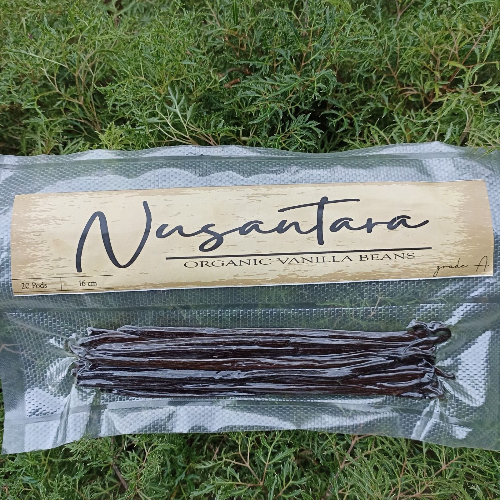 Vanilla beans premium Grade A Planifolia Gourmet 20 pods,16-18cm up
