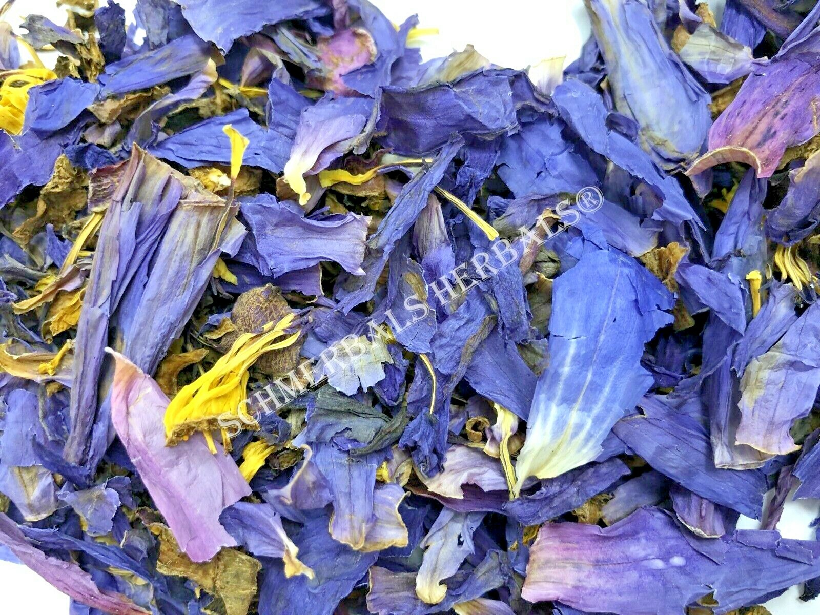 Blue Lotus, N. caerulea, All Natural Deep Purple Thai™ ~ Schmerbals Herbals