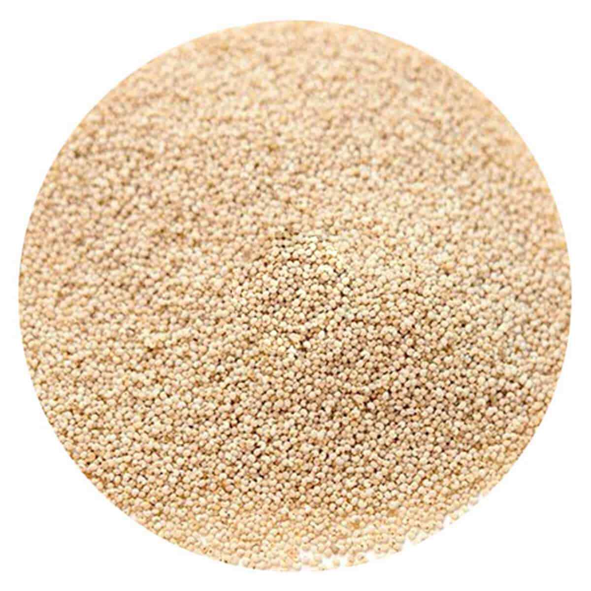 White Poppy Seeds Bulk Premium Spice – 200g 500g 1kg 2kg 3kg 5kg 10kg Bulk