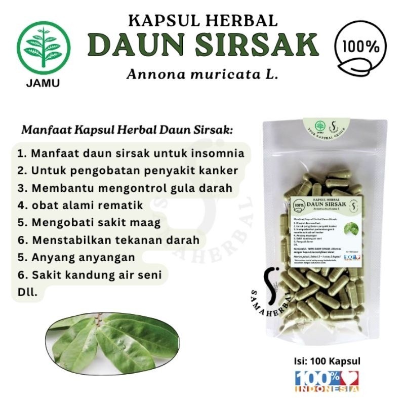 Soursop Leaf Herbal Capsules 100 pcs Natural Botanical Capsule