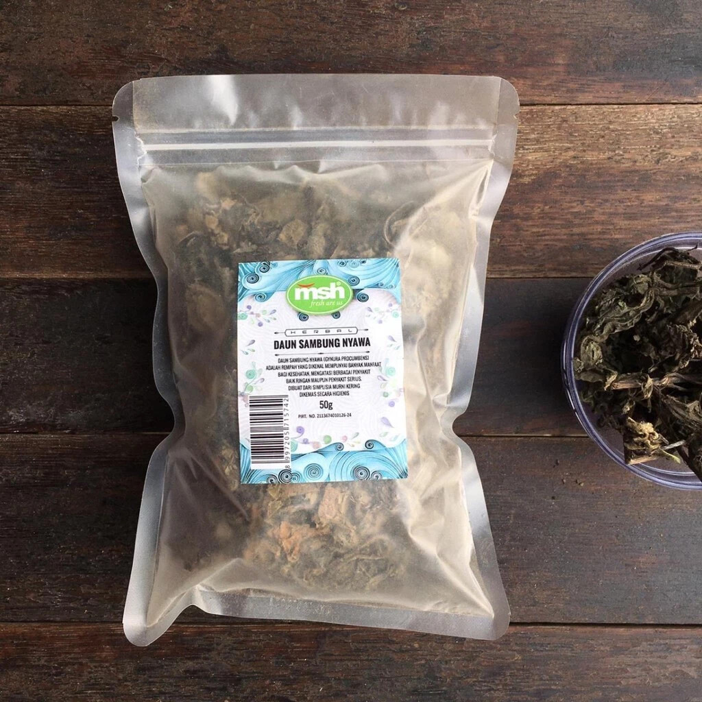 Sambung Nyawa Leaves Natural Organic Herbs Spices Fresh Pure Hygienic Premium