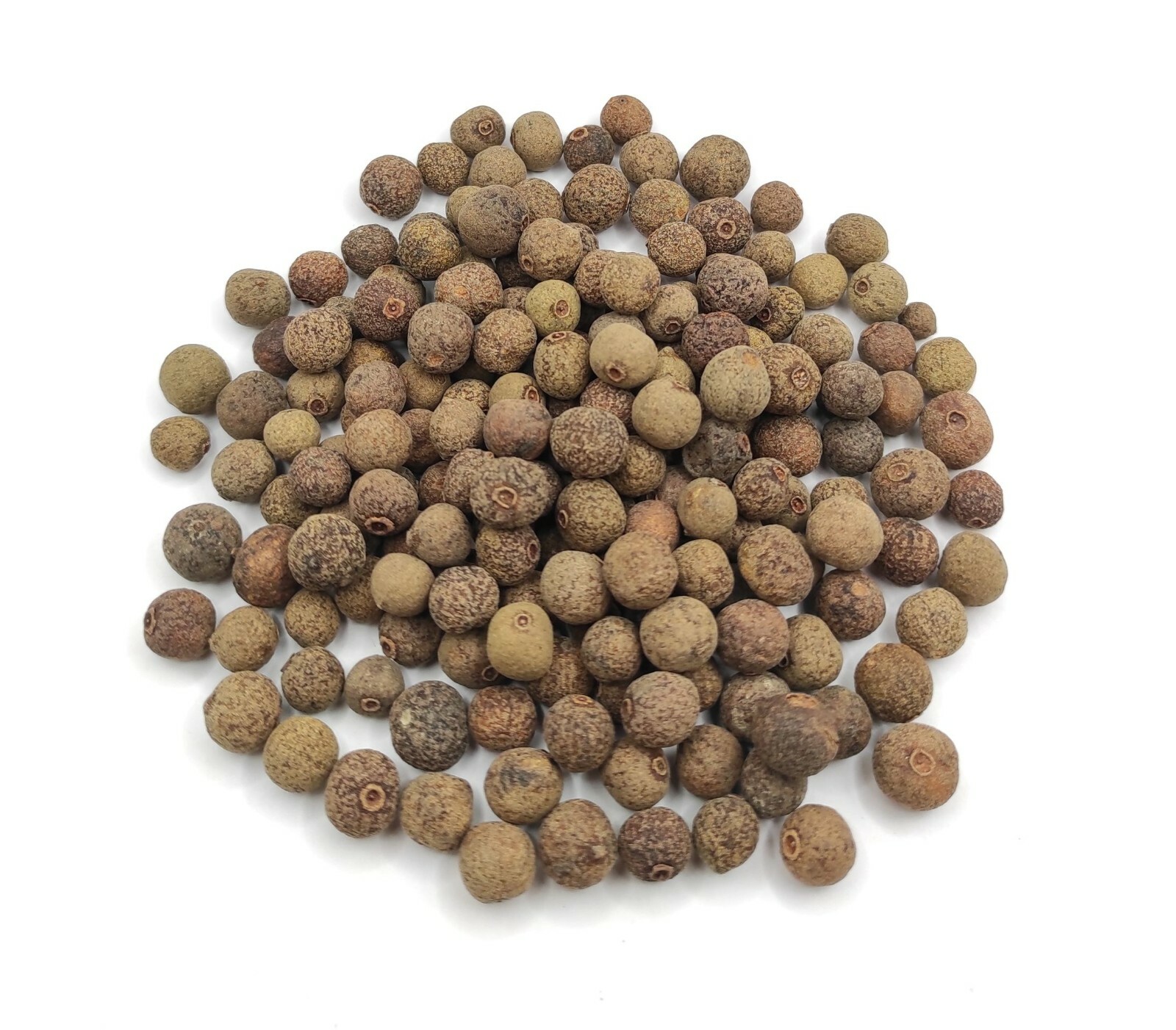 Allspice Pimento Whole Seeds 85g(3 oz) – 1,95kg(68.8 oz) Pimenta dioica