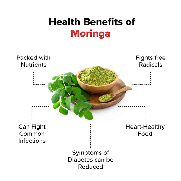 Moringa Tea Organic Leaf Natural Powder Dried Pure Ceylon Leaf/Leaves NEW
