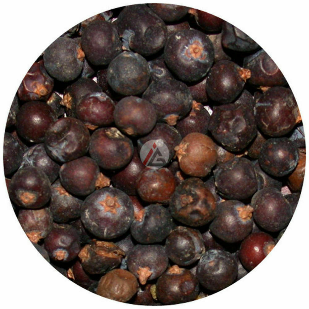 Juniper Berries – 95 gm