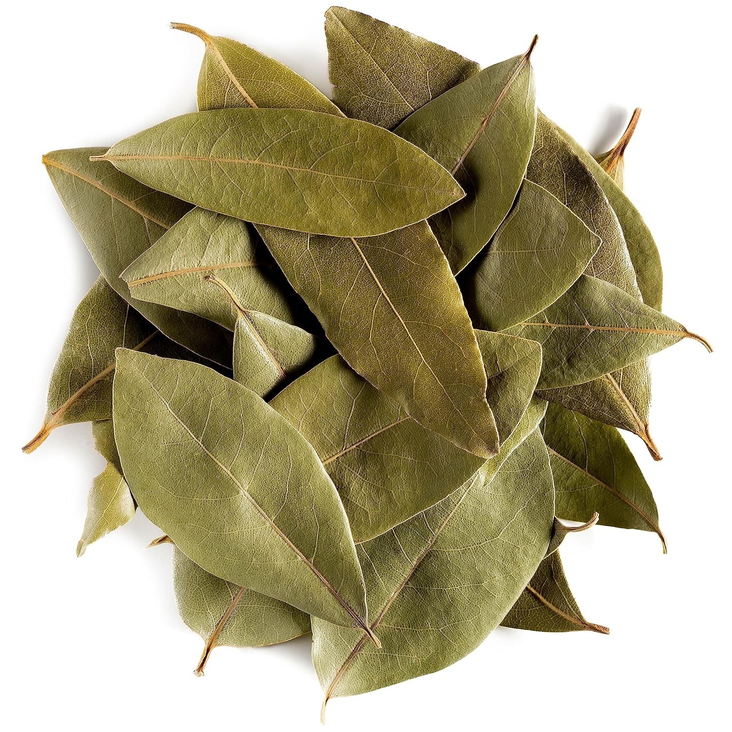 Organic Bay Leaf Herb – Culinary Quality
