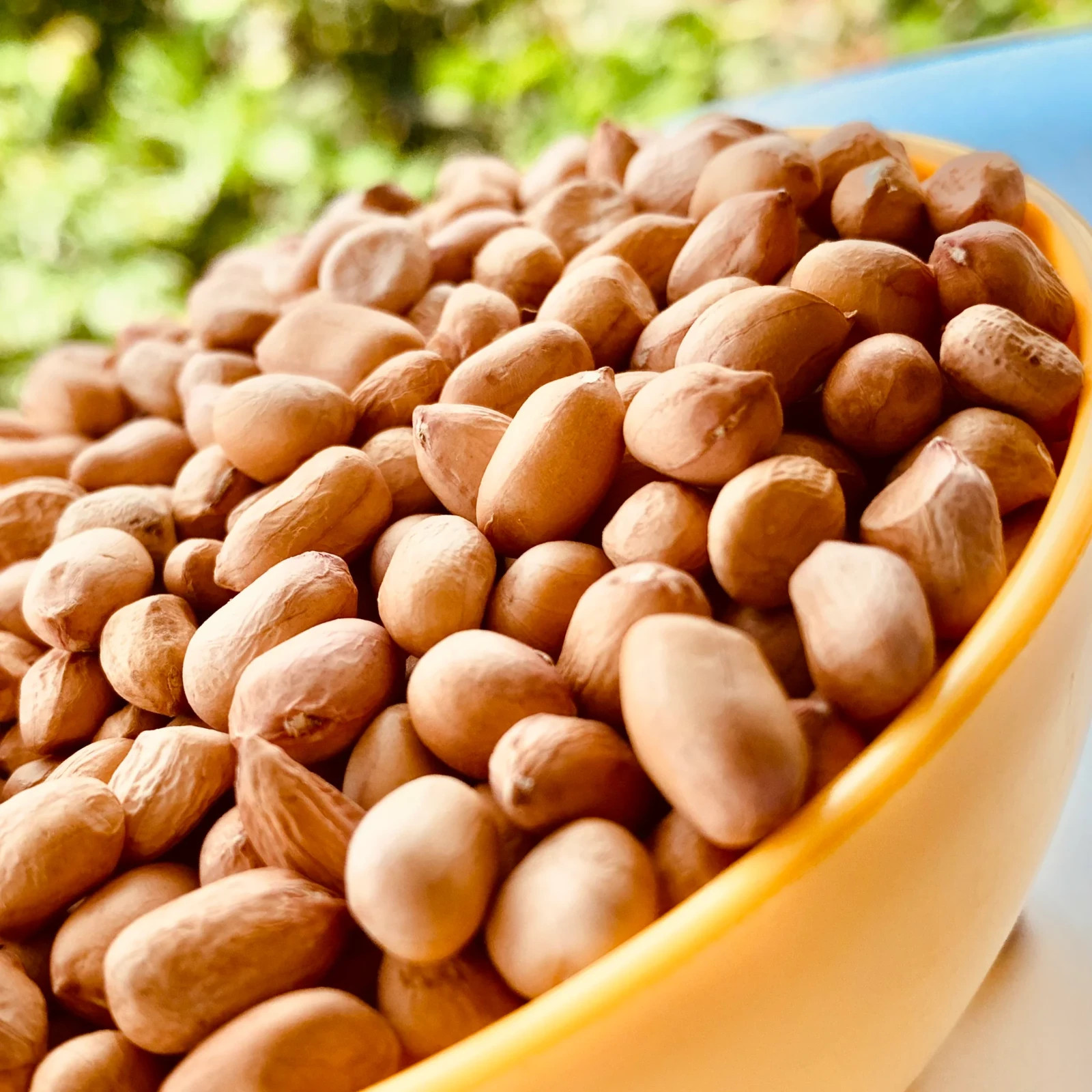 Natural Peanuts Raw Whole Groundnuts Fresh Premium Quality