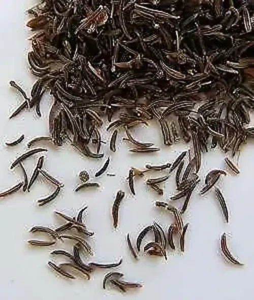 Indian Premium Black Cumin Seed, Shahi jeera Caraway Seeds jeera kali jeeri