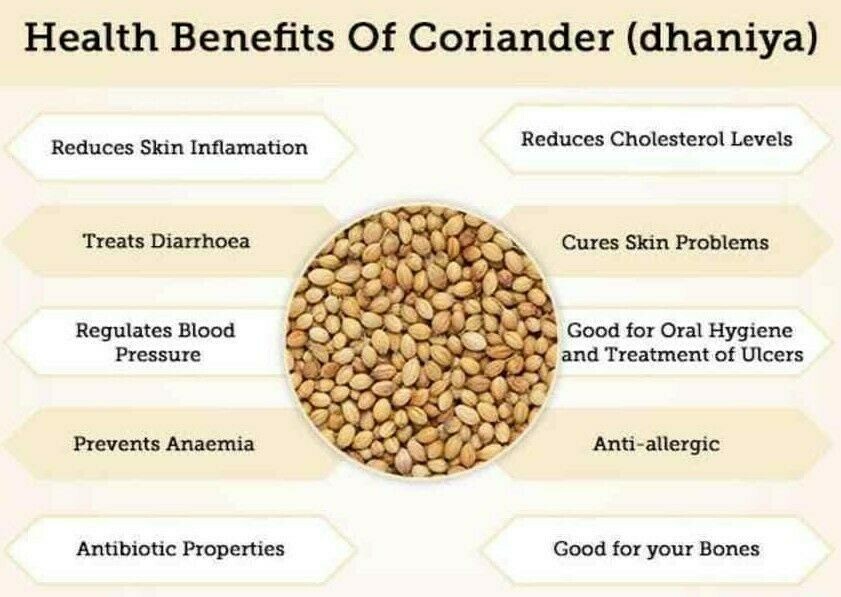 Food To Live Whole Coriander Seeds RAW NON-GMO Verified Dried Organic Spice 100g